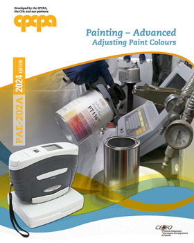 Adjusting Paint Colours | PAE-202A